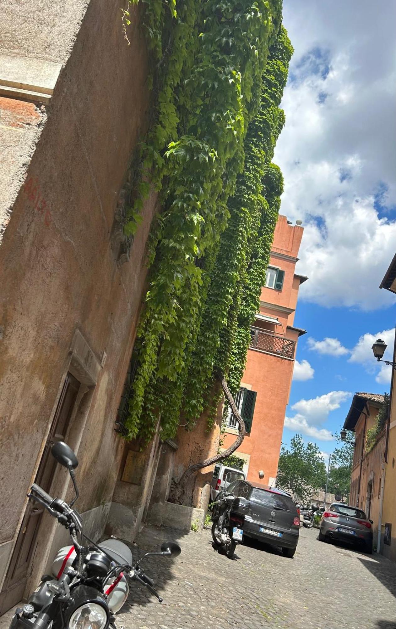 Garden House Trastevere Rom Eksteriør billede
